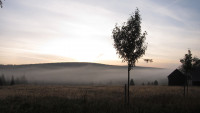 jizerka morning-fog-1783071 1280
